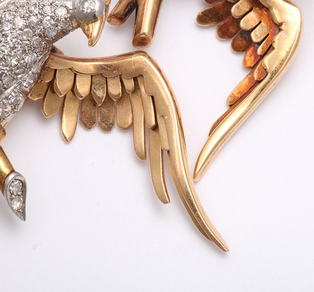 Magnificent Bird Clips For Sale at 1stDibs