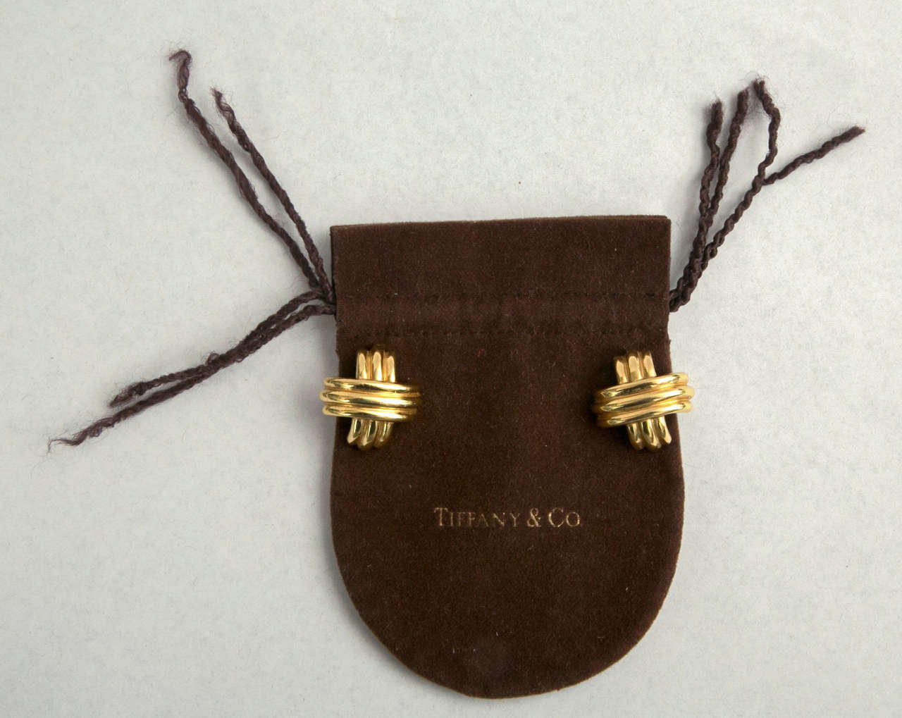 Gold Tiffany Earrings Presented by Carol Marks