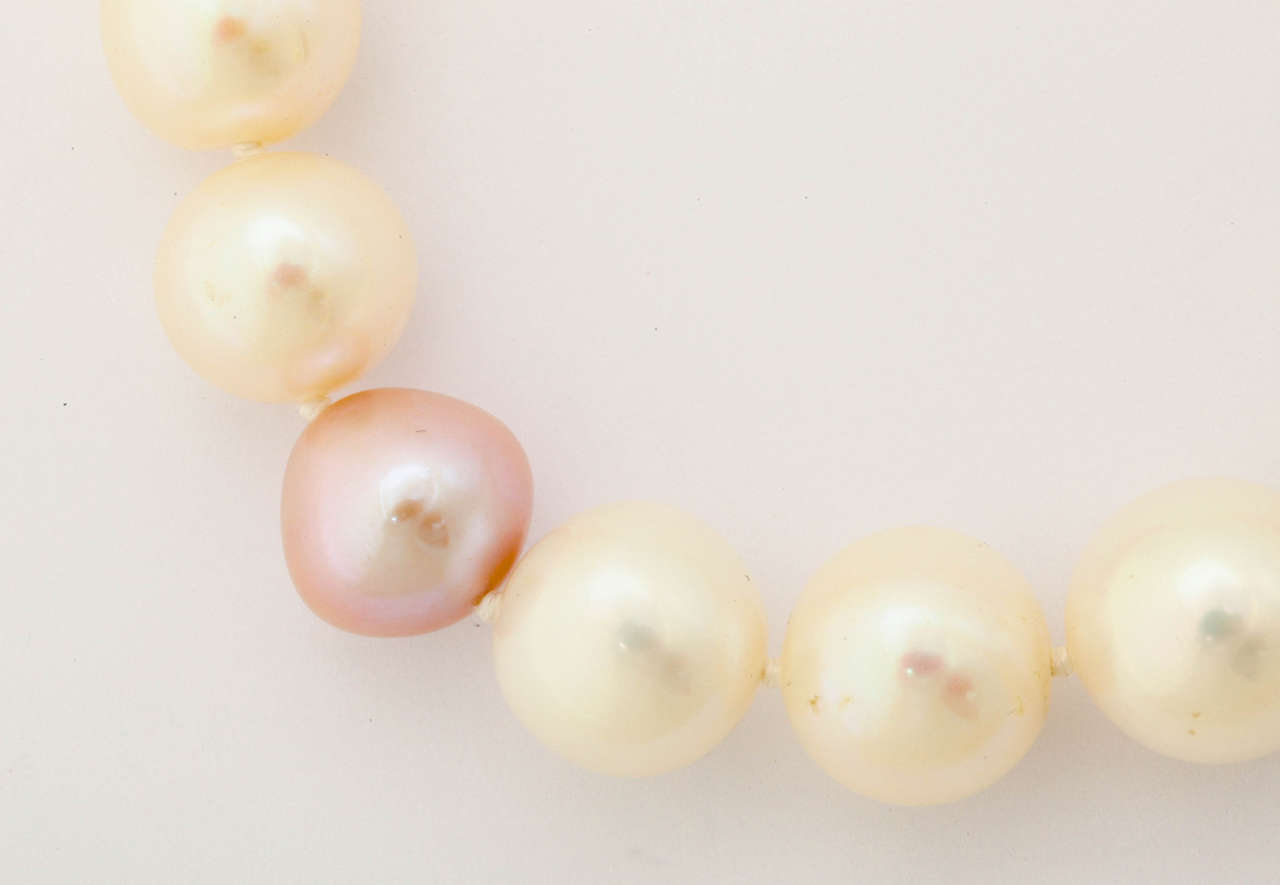Contemporary Impressive Large Fresh Water Pearl Necklace For Sale