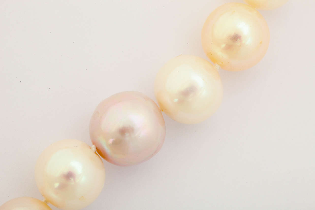 Impressive Large Fresh Water Pearl Necklace For Sale 2