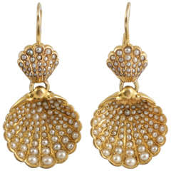 Pearl Shell earrings.