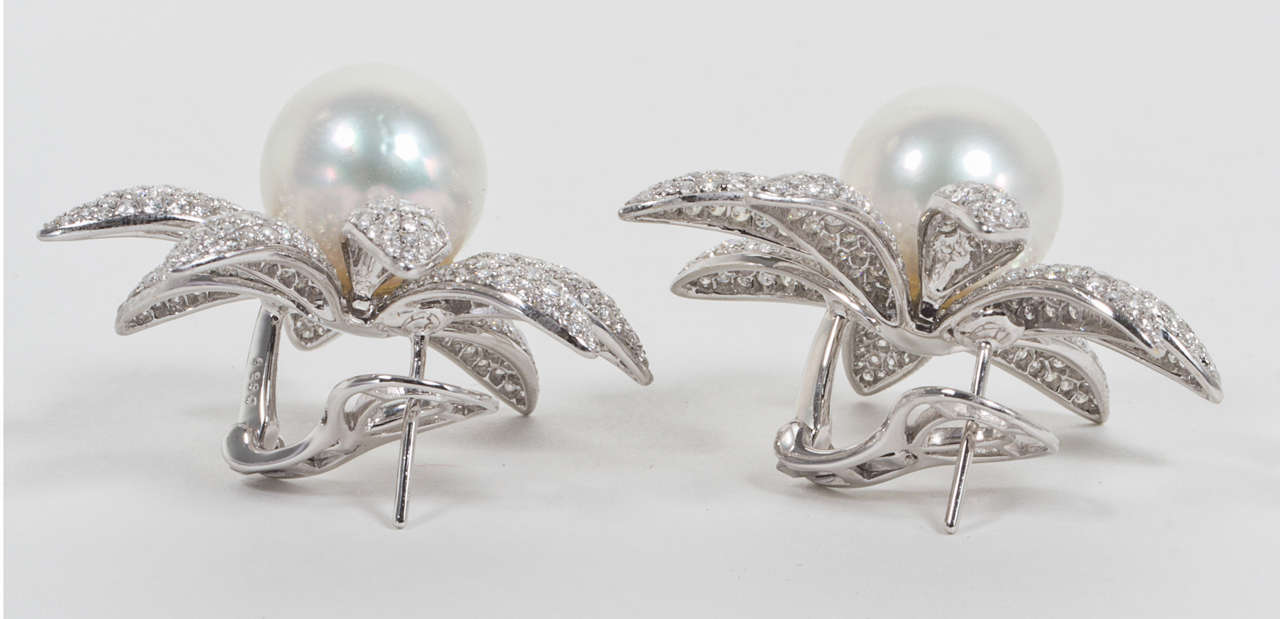 Stunning South Sea Pearl and Diamond Earrings In New Condition For Sale In New York, NY