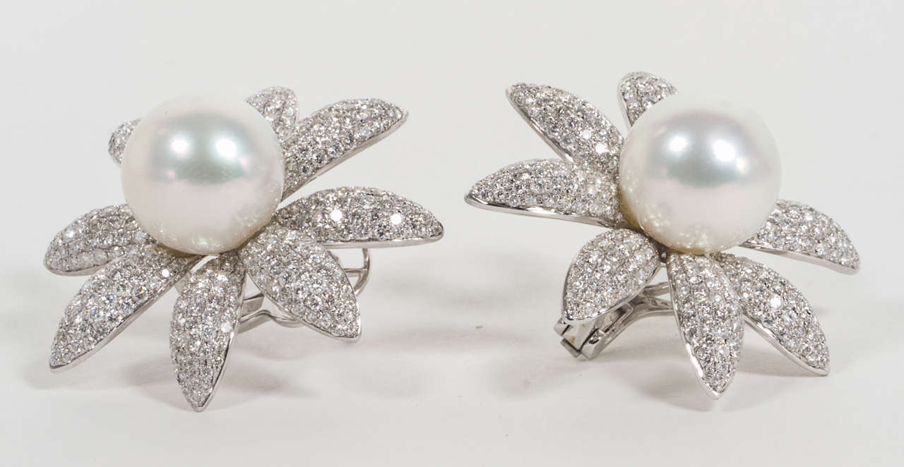 Women's Stunning South Sea Pearl and Diamond Earrings For Sale