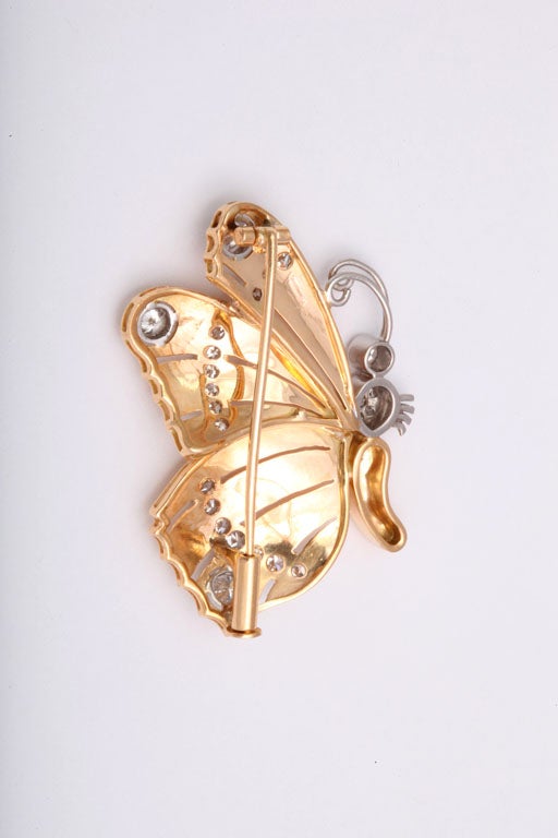 gold butterfly pin