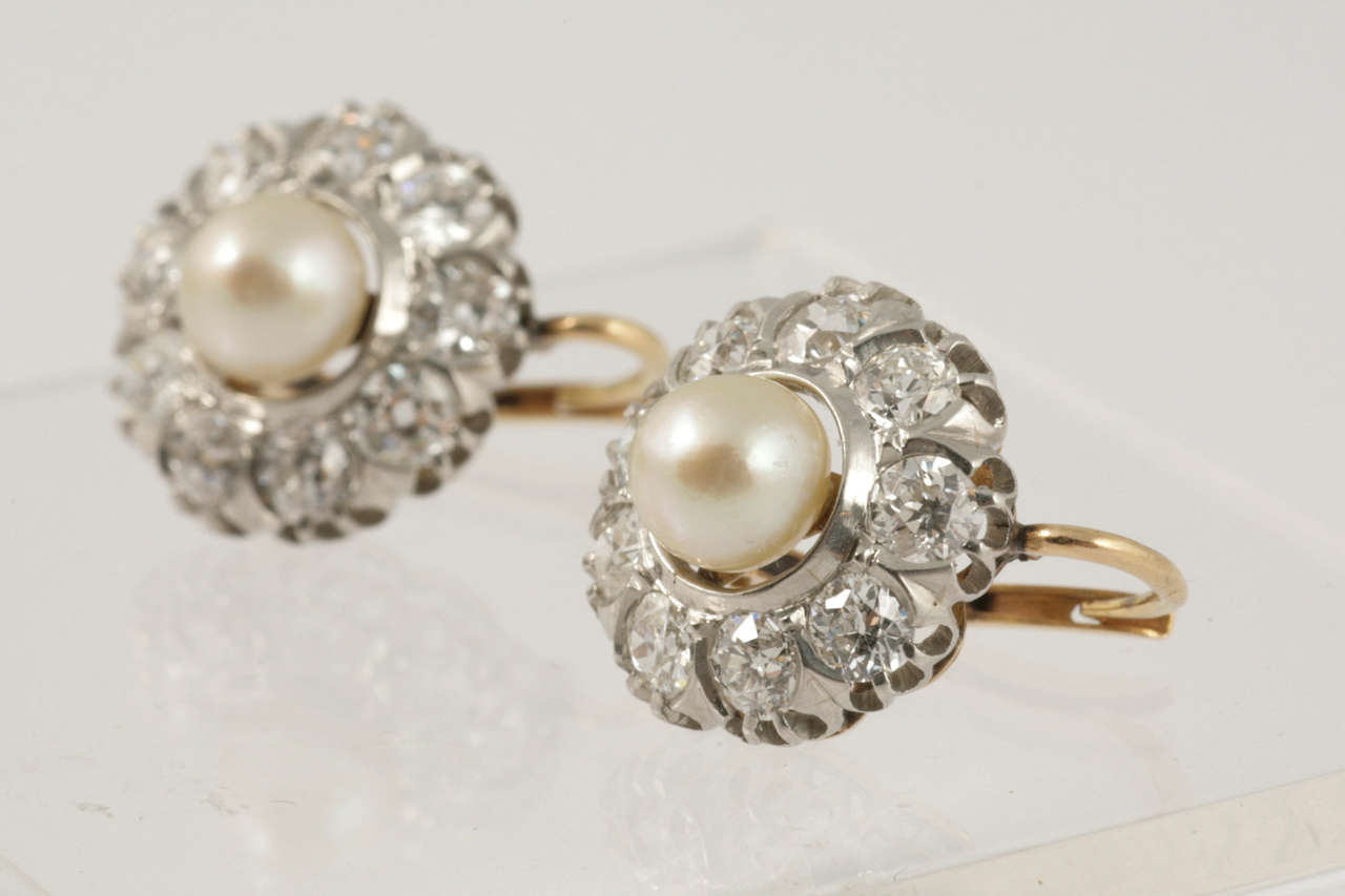Late 19th Century natural Pearls surrounded by approximately 3 cts of old cut diamonds in beautifully set earrings.