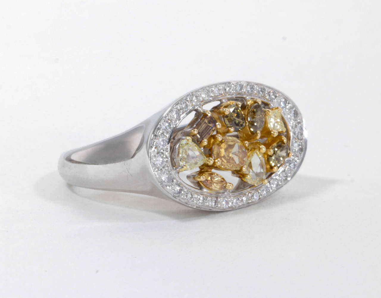 A unique and fun ring to add to any collection.

1.31 carats of Fancy yellow, cognac, champagne and white diamonds set in 18k gold.