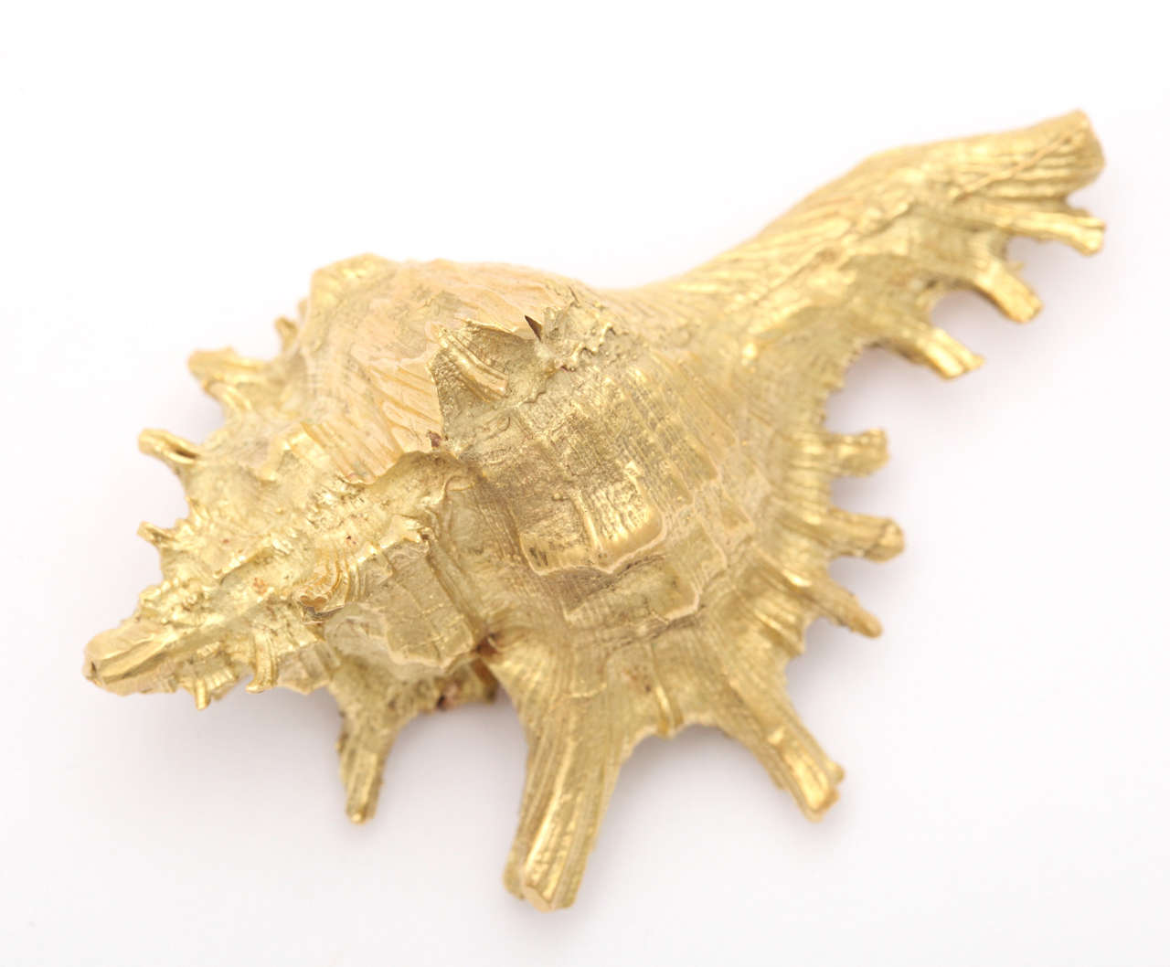 Impressive Gold Conch Shell Brooch 1