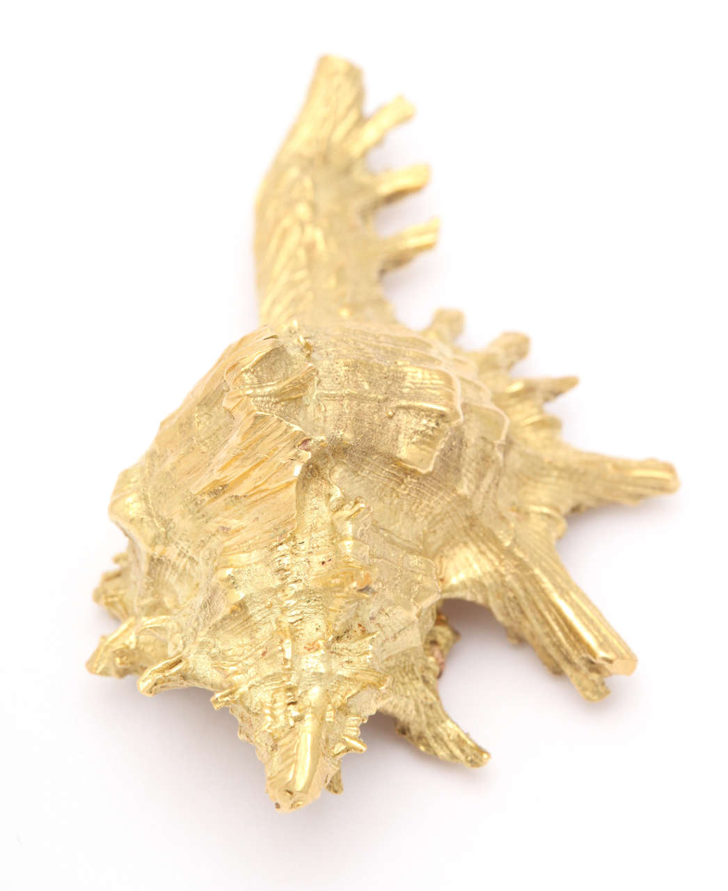 Impressive Gold Conch Shell Brooch 2