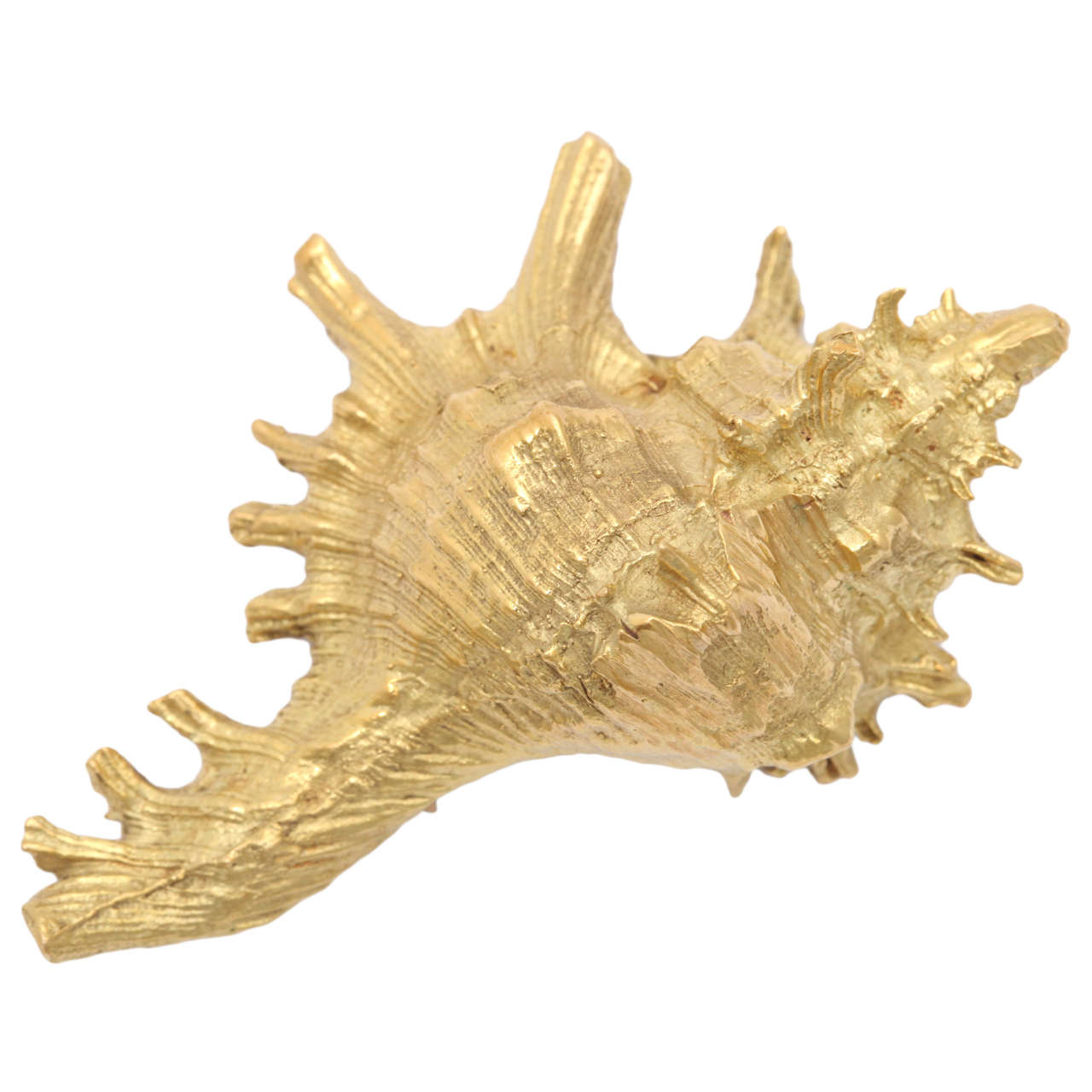 Impressive Gold Conch Shell Brooch