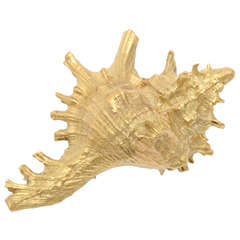 Impressive Gold Conch Shell Brooch