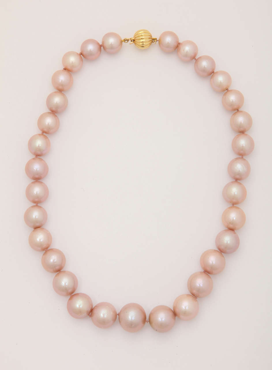 Beautiful pinky-mauve, large, sumptuous round fresh water pearls ranging from 12.7 to 10.7 mm. The clasp  is 14 kt yellow gold. This is a wonderful color to compliment a woman's skin.