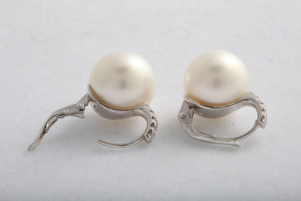 Women's South Sea pearl and diamond earrings