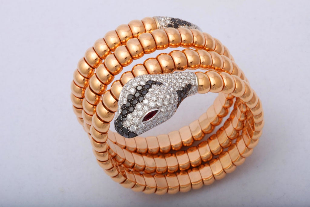 Stunning Snake Bracelet