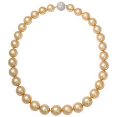 Golden South Sea Pearls, GIA Certified