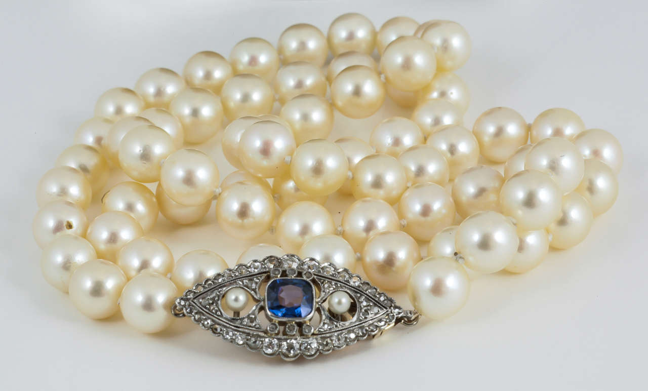 Single row cultured pearl 8-8.5mm necklace to an Edwardian sapphire and diamond marquise shaped cluster clasp. Circa 1920, with natural pearls.