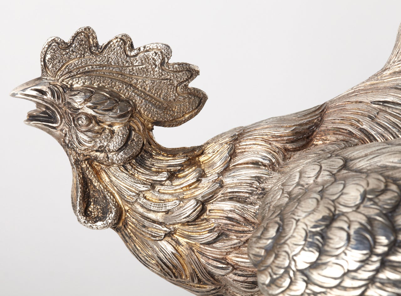 arco roosters