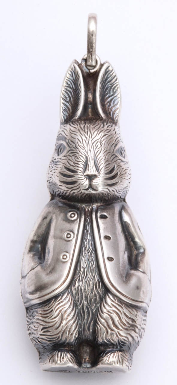 Not at all shy nor afraid to show some fur, this rabbit is a 