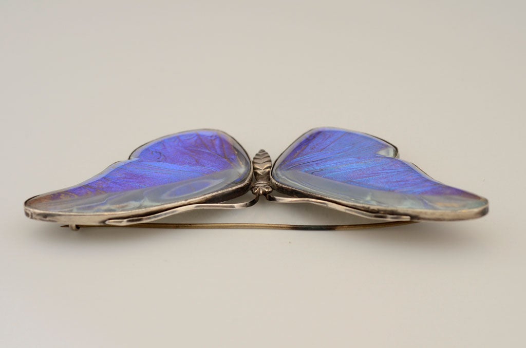 Women's Butterfly Brooch