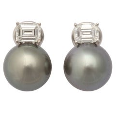 Tahitian  Cultured Pearl earrings