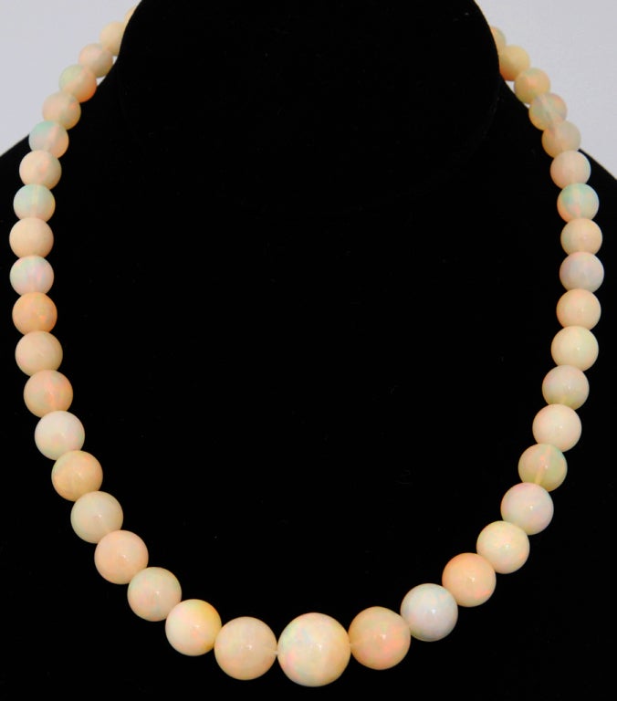 Prächtige abgestufte Opalperlenkette mit Diamantverschluss (Perle) im Angebot