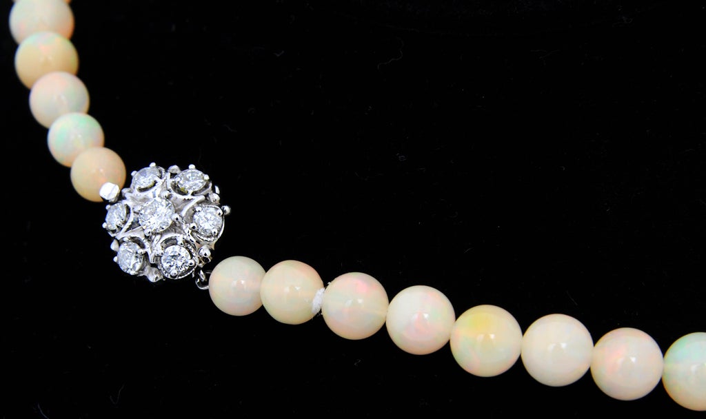 Women's Magnificent Graduated Opal Bead Necklace with Diamond Clasp For Sale
