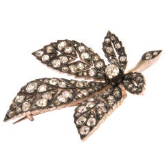 An Antique leaf Brooch