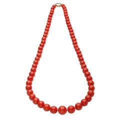 Natural Coral Necklace