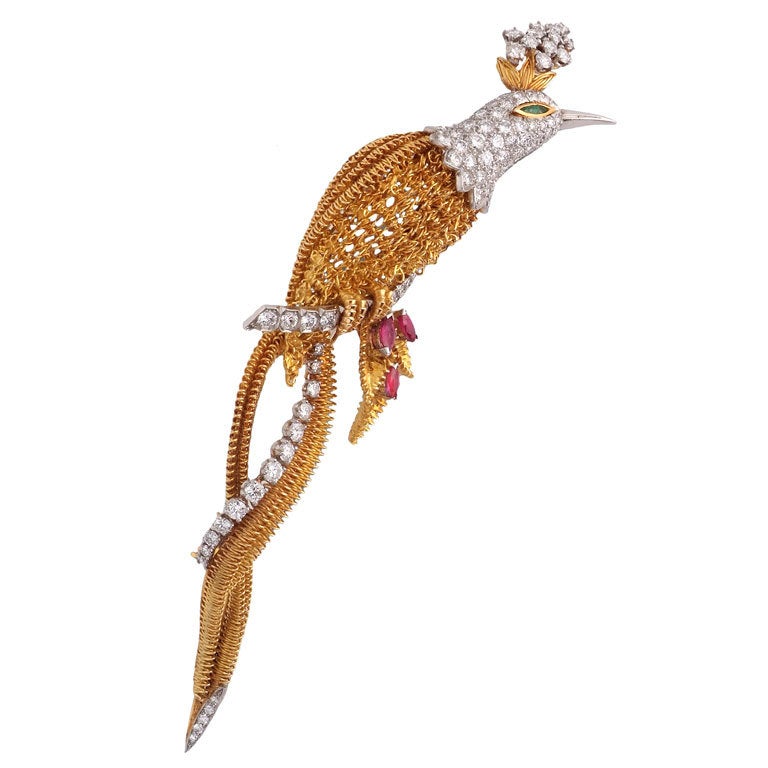 CARTIER. A Gem-Set Bird Of Paradise Brooch. For Sale
