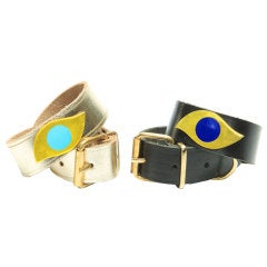 "myi4eye" Pet Collars