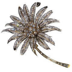 Platinum, Gold
Diamond Flower Brooch/Pendant Platinum, Gold
Diamond Flower Brooch/Pendant