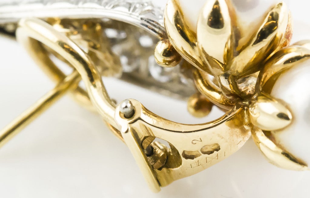 Women's TIFFANY & CO. SCHLUMBERGER Diamond Pearl Gold Leaf Earrings