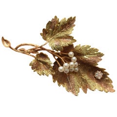 Two Colored Gold Vine Brooch with Pearls and Diamonds