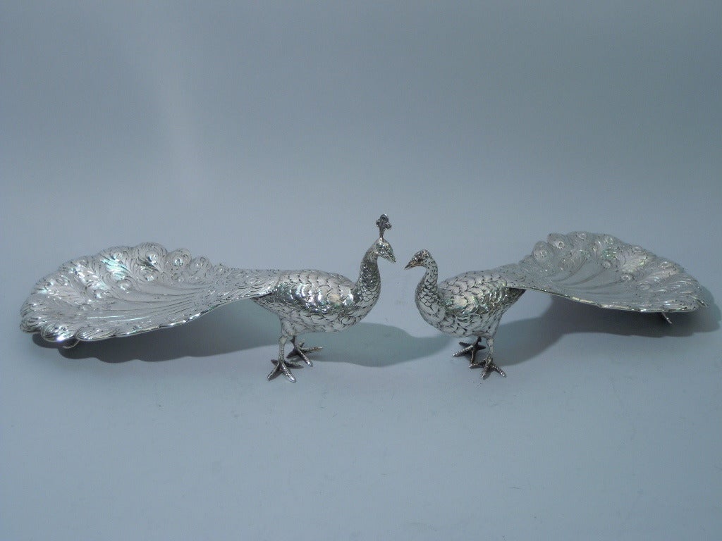 Pair of German 800 silver peacocks, ca. 1900. Sturdy bodies, sharp talons, and alert heads. Downed tails are hollow for holding treats. This couple is a boy and girl (peahen). Fully hallmarked. Excellent condition with good definition.