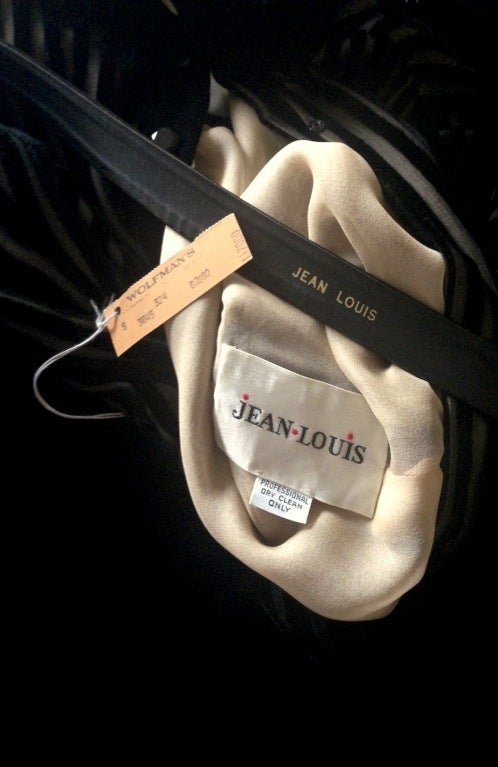 1960s Jean Louis Demi-Couture Silk Chiffon & Velvet Dress 3