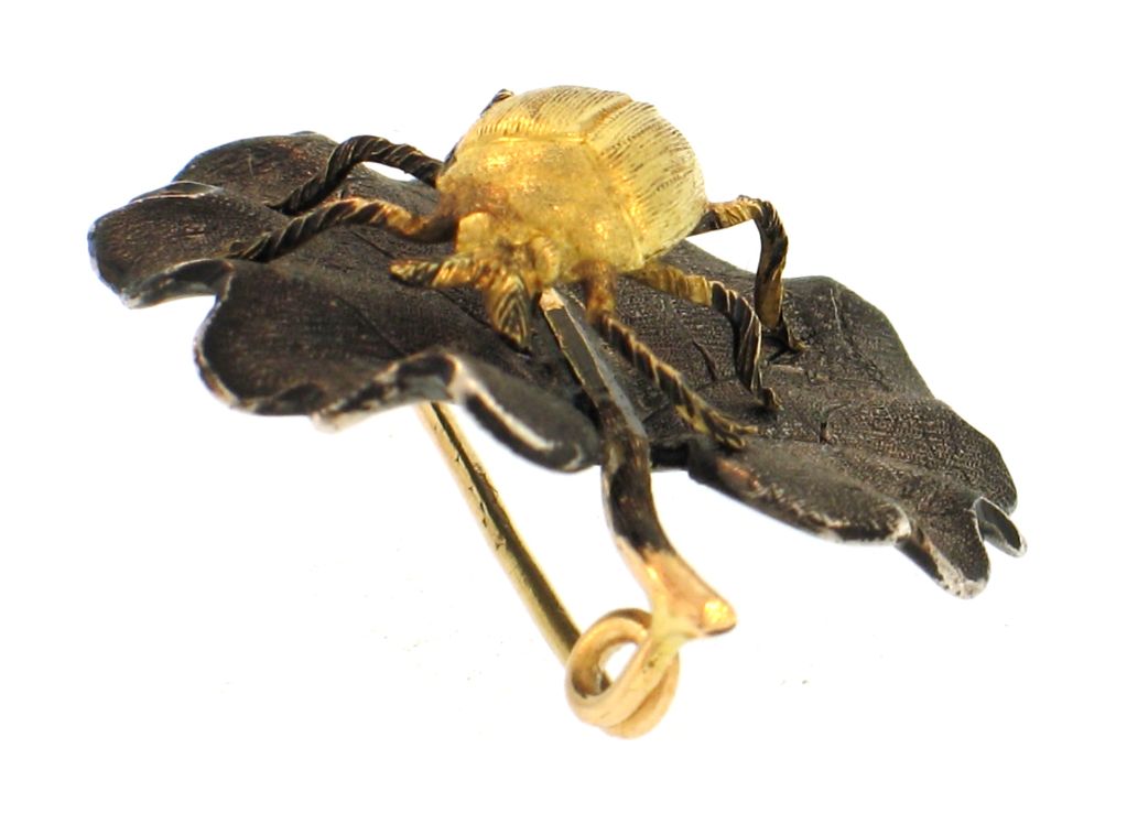 Women's BUCCELLATI Very Sweet Beetle Pin