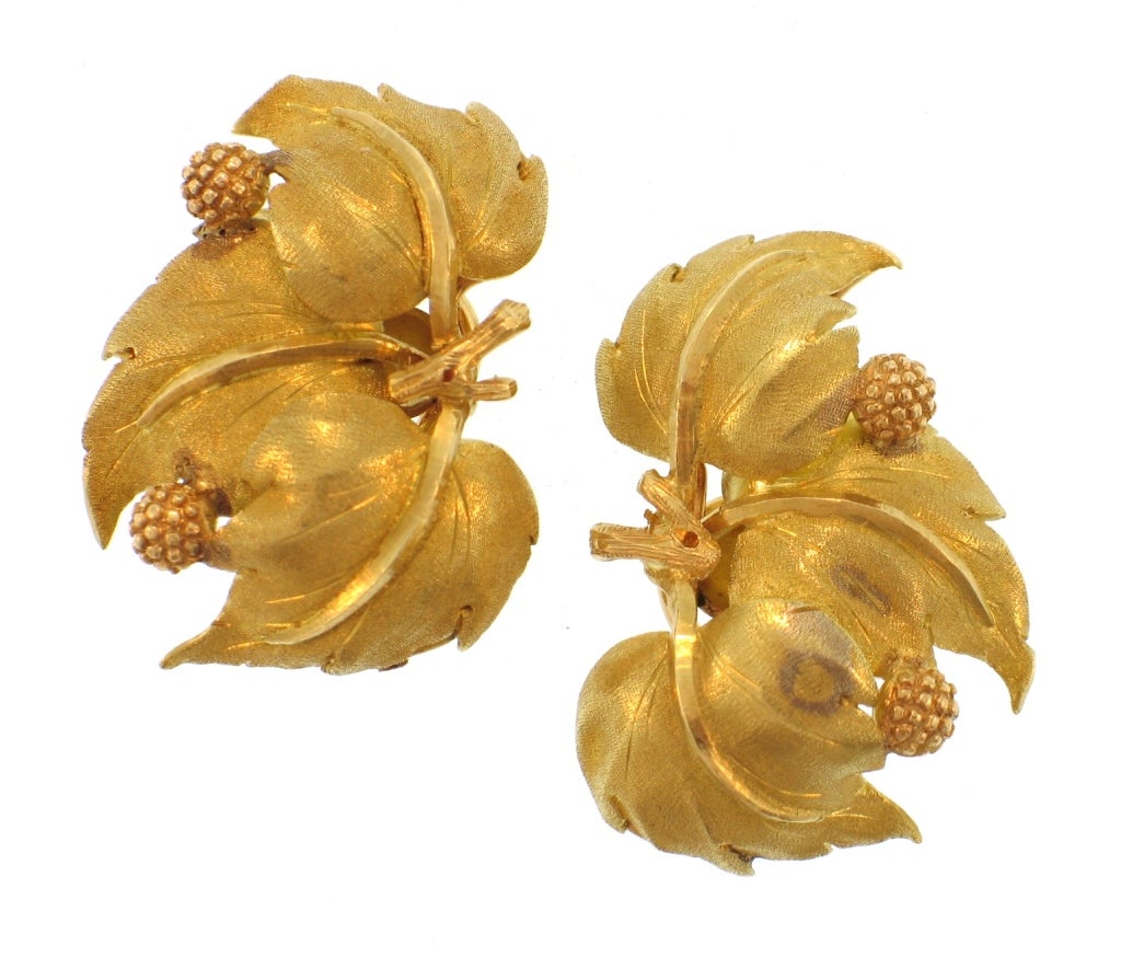 These 18 karat gold ear clips are designed as a group of curved leafs accented by textured berries.  Designed by M. Buccellati in Italy, these ear clips feature the brushed gold technique that Buccellati is so well known for.