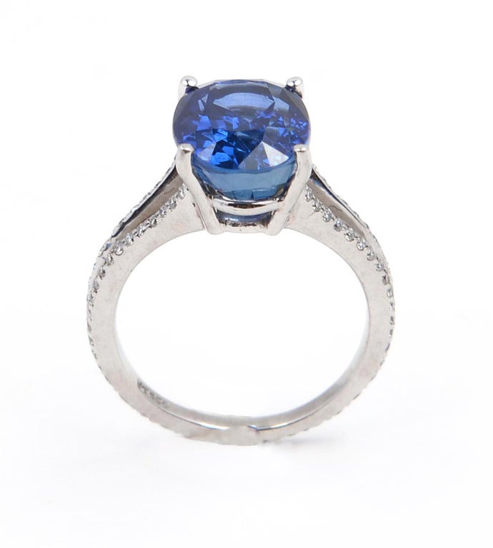 Vivid Blue Ceylon Sapphire Diamond Platinum Ring In Good Condition In Atlanta, GA