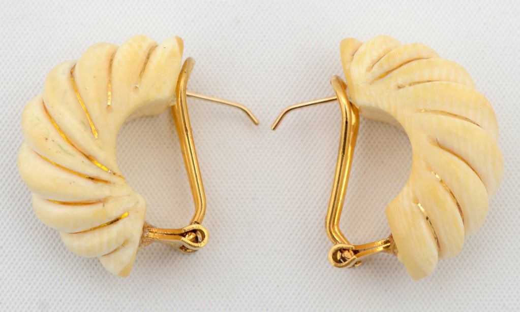 Sculpted shrimp design earrings in ivory with gold bands in the recessed areas. They are for pierced ears. Measurements are 1/2