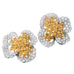 Heyman 10.23 Carat Yellow Diamond Earrings