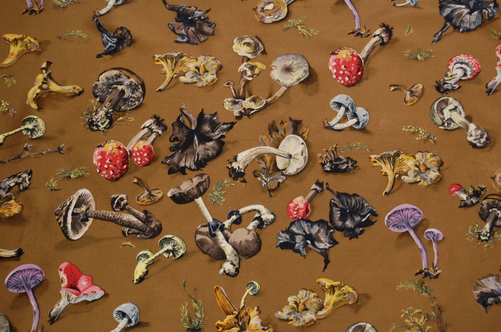 hermes mushroom scarf