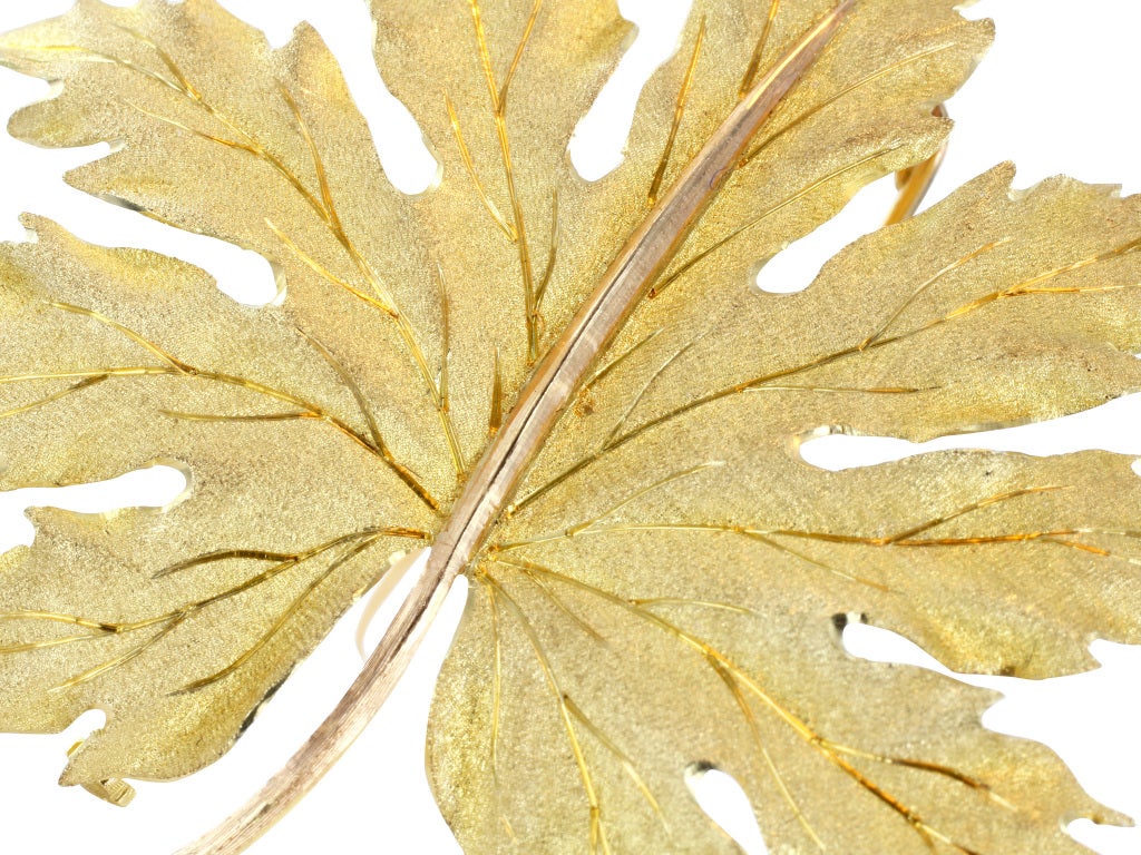 Estate 18 karat yellow gold maple leaf pin, signed Buccellati.