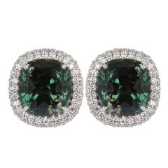 Spectacular Alexandrite Earrings