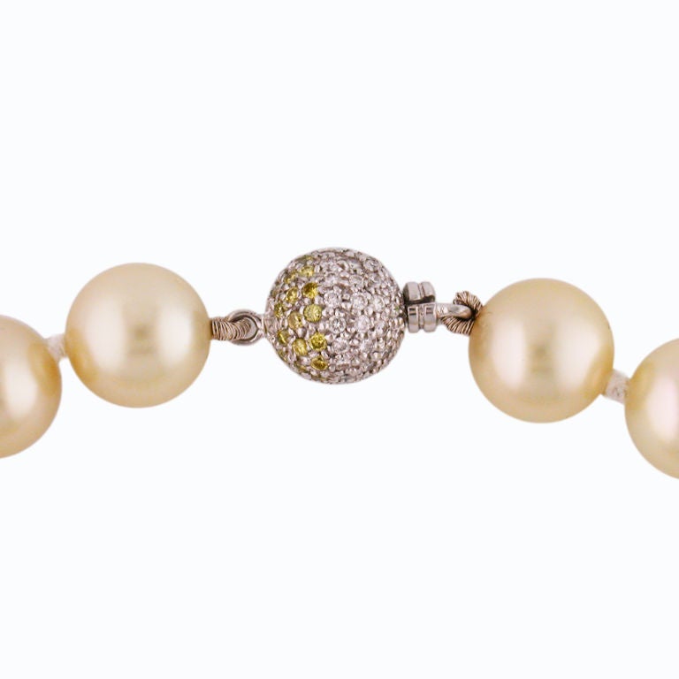 Absolutely stunning golden pearl necklace, this timelessly classic single stand of 37 	graduated natural Golden Pearls range from a substantial 10.2x13.3MM in diameter. The lustrous Golden Pearls are accented nicely by the 18kt yellow gold and
