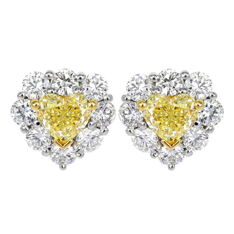 Natural Yellow Diamond Heart Earrings