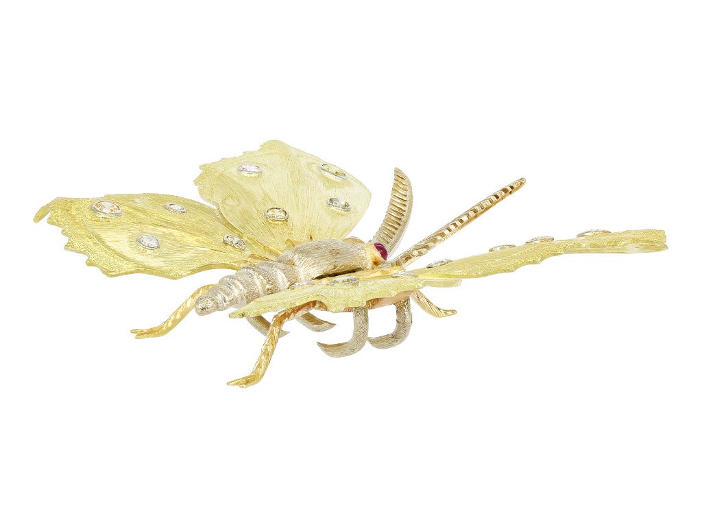 Buccellati Natural Color Diamond Butterfly Pin In Excellent Condition For Sale In Chestnut Hill, MA