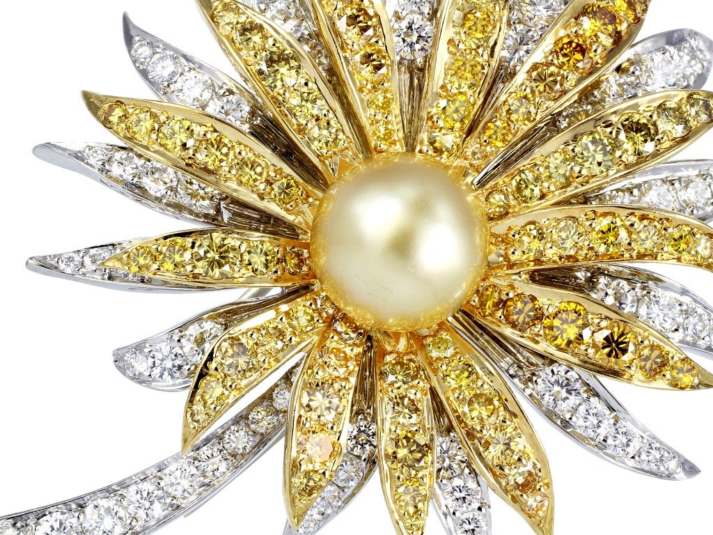 Two tone 18 karat white and yellow gold floral
motiff pin consisting of round brilliant cut colorless
and canary diamonds weighing approximately 6.75
carats set with one 10.17mm golden color South Sea
Pearl