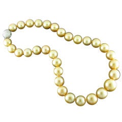 Rare Natural Color Golden South Sea Pearls