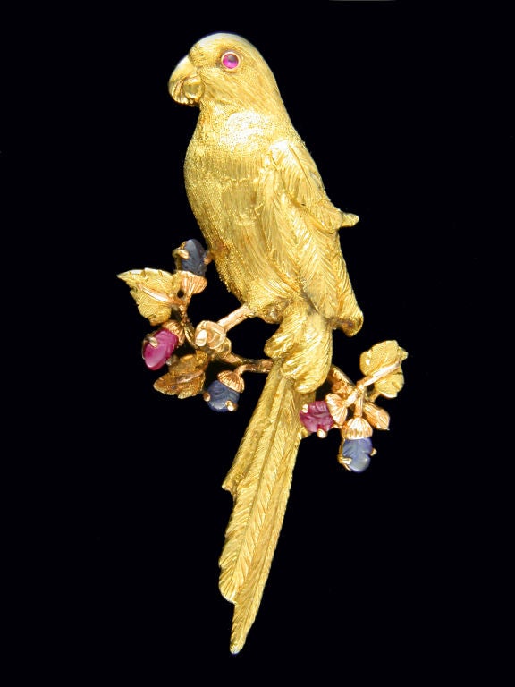 Handmade 18 karat yellow gold vintage parrot pin ,with carved ruby and sapphire accents, signed M. Buccellati.