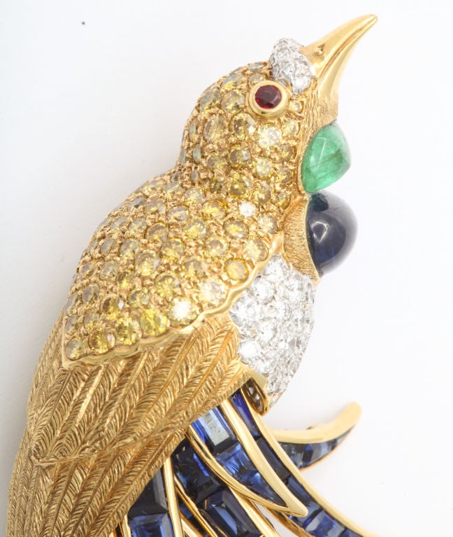 Fred Leighton Broche Bird of Paradise multi-gemmes avec plumes de queue articulées Pour femmes en vente