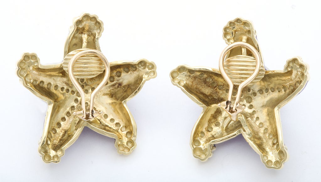 Large and dimensional, opposing starfish earclips, 14KT gold with deep blue enamel. 1 1/2 inches.